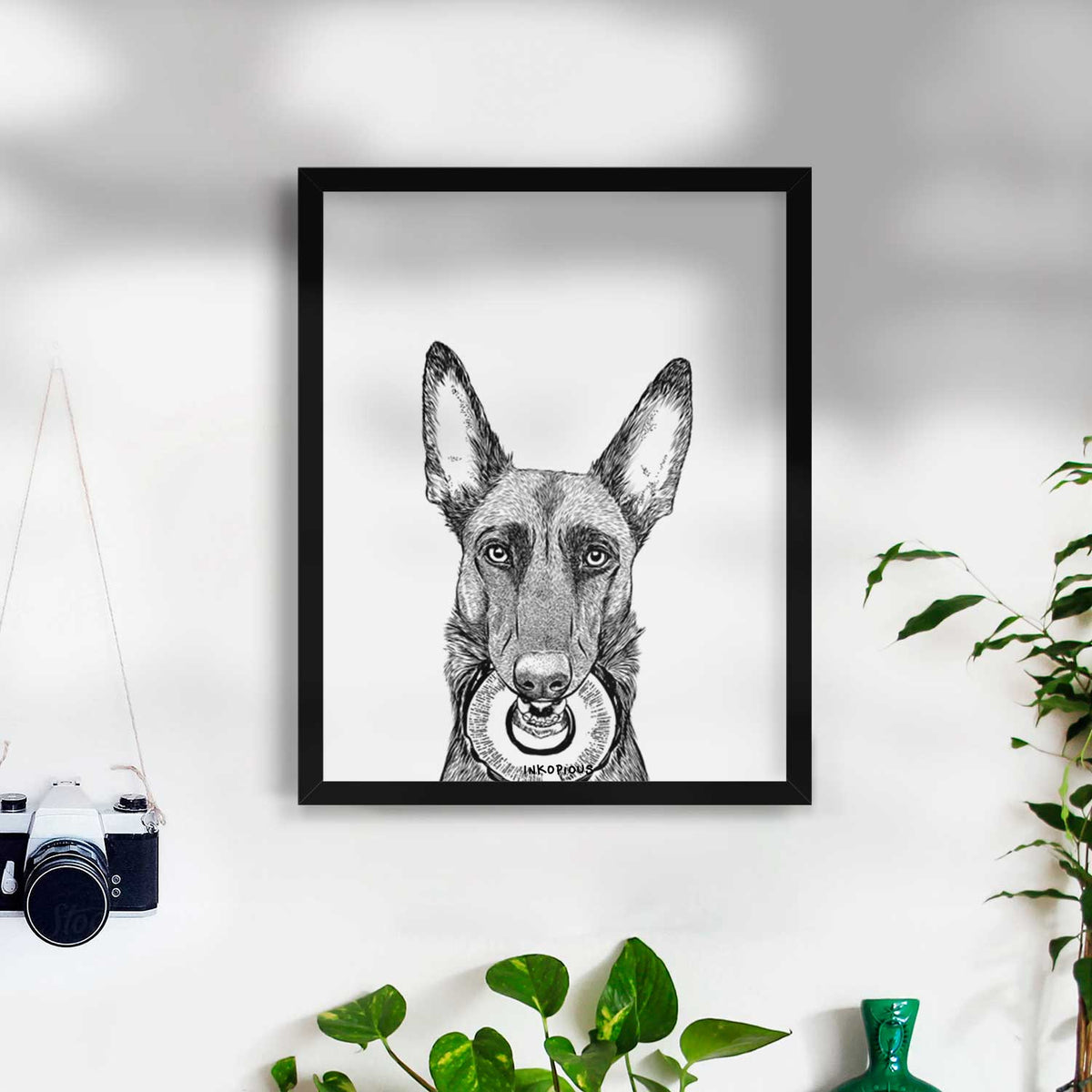 Juno the Belgian Malinois Art Print