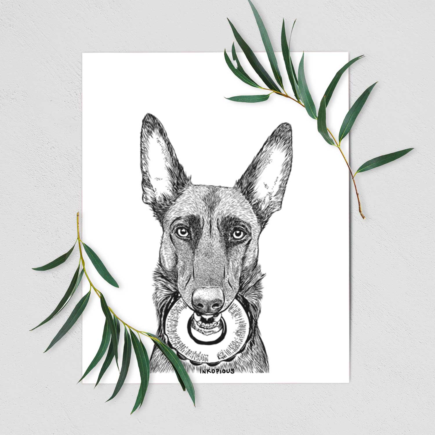 Juno the Belgian Malinois Art Print