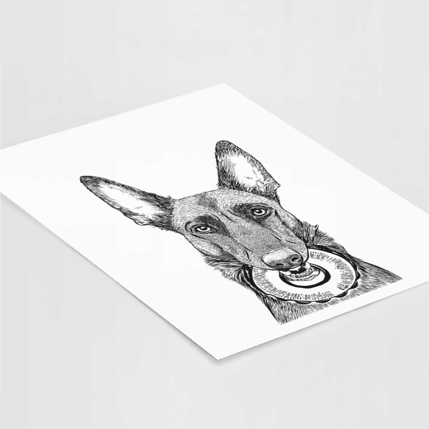 Juno the Belgian Malinois Art Print