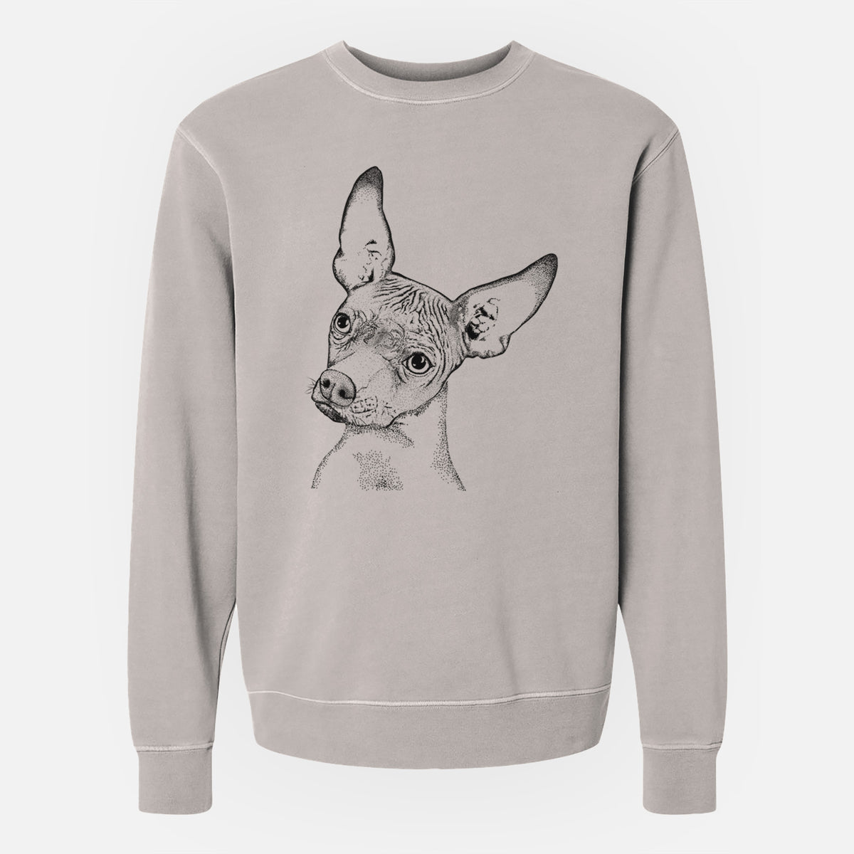 Bare Kahlo the Xoloitzcuintli - Unisex Pigment Dyed Crew Sweatshirt