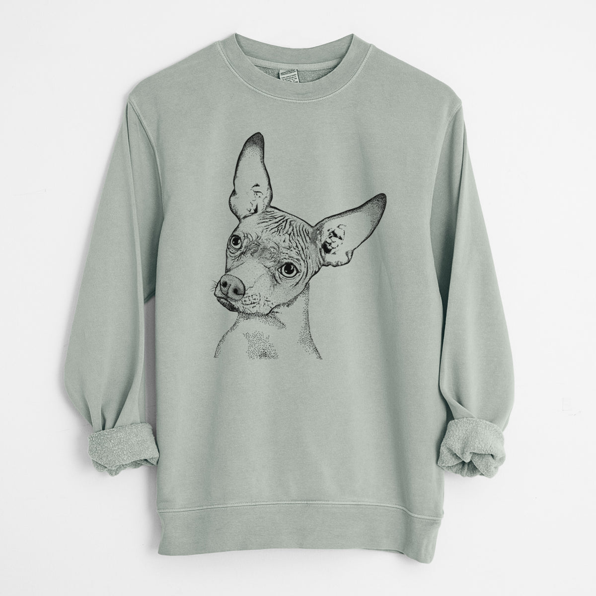 Bare Kahlo the Xoloitzcuintli - Unisex Pigment Dyed Crew Sweatshirt