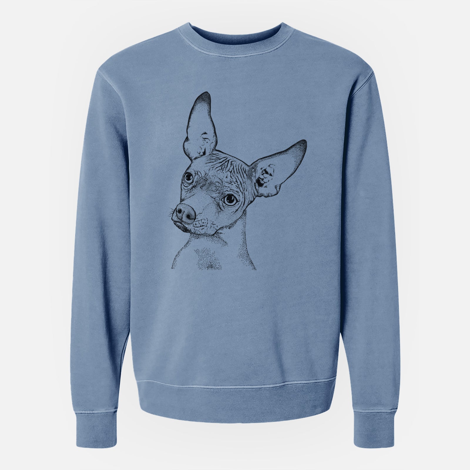 Bare Kahlo the Xoloitzcuintli - Unisex Pigment Dyed Crew Sweatshirt
