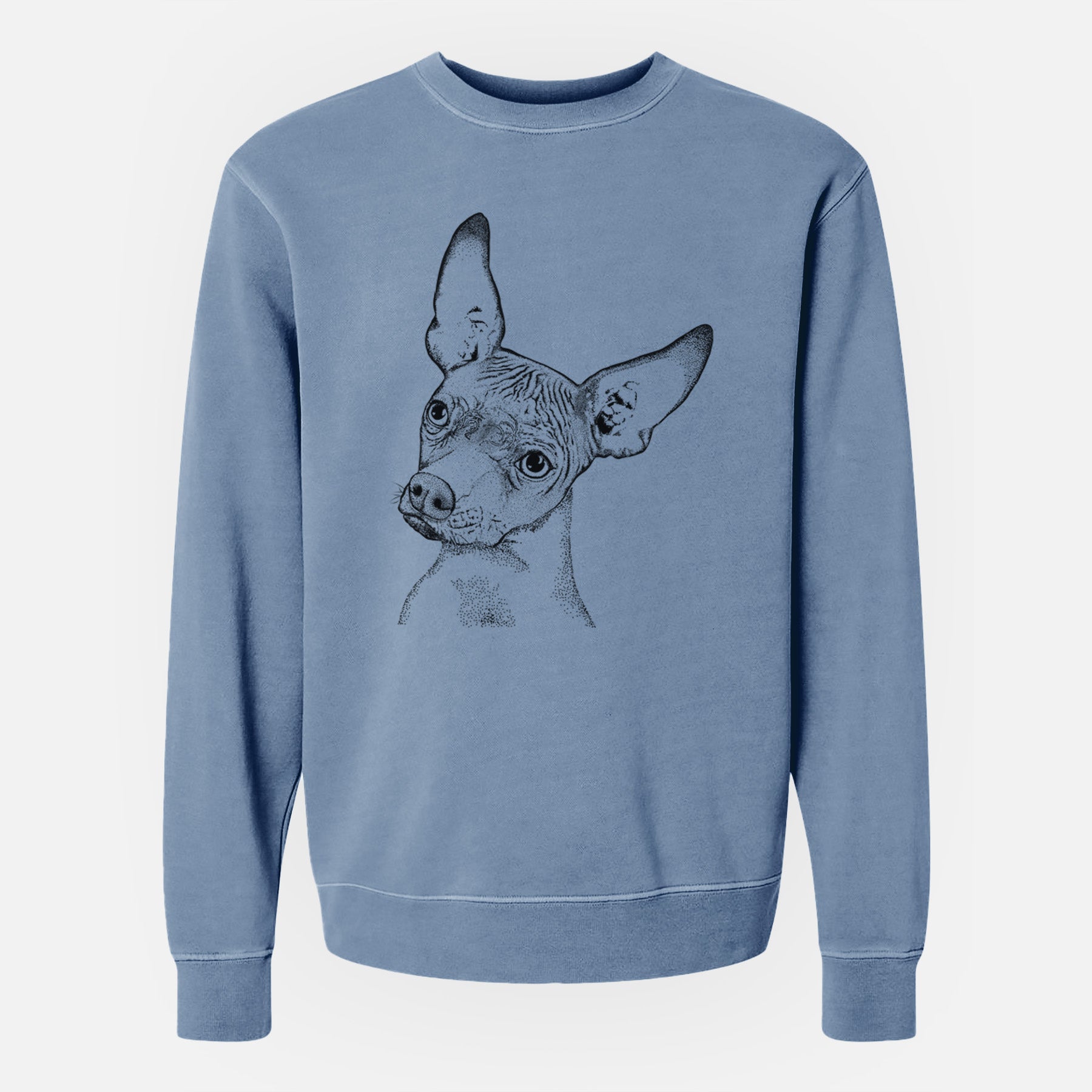 Bare Kahlo the Xoloitzcuintli - Unisex Pigment Dyed Crew Sweatshirt
