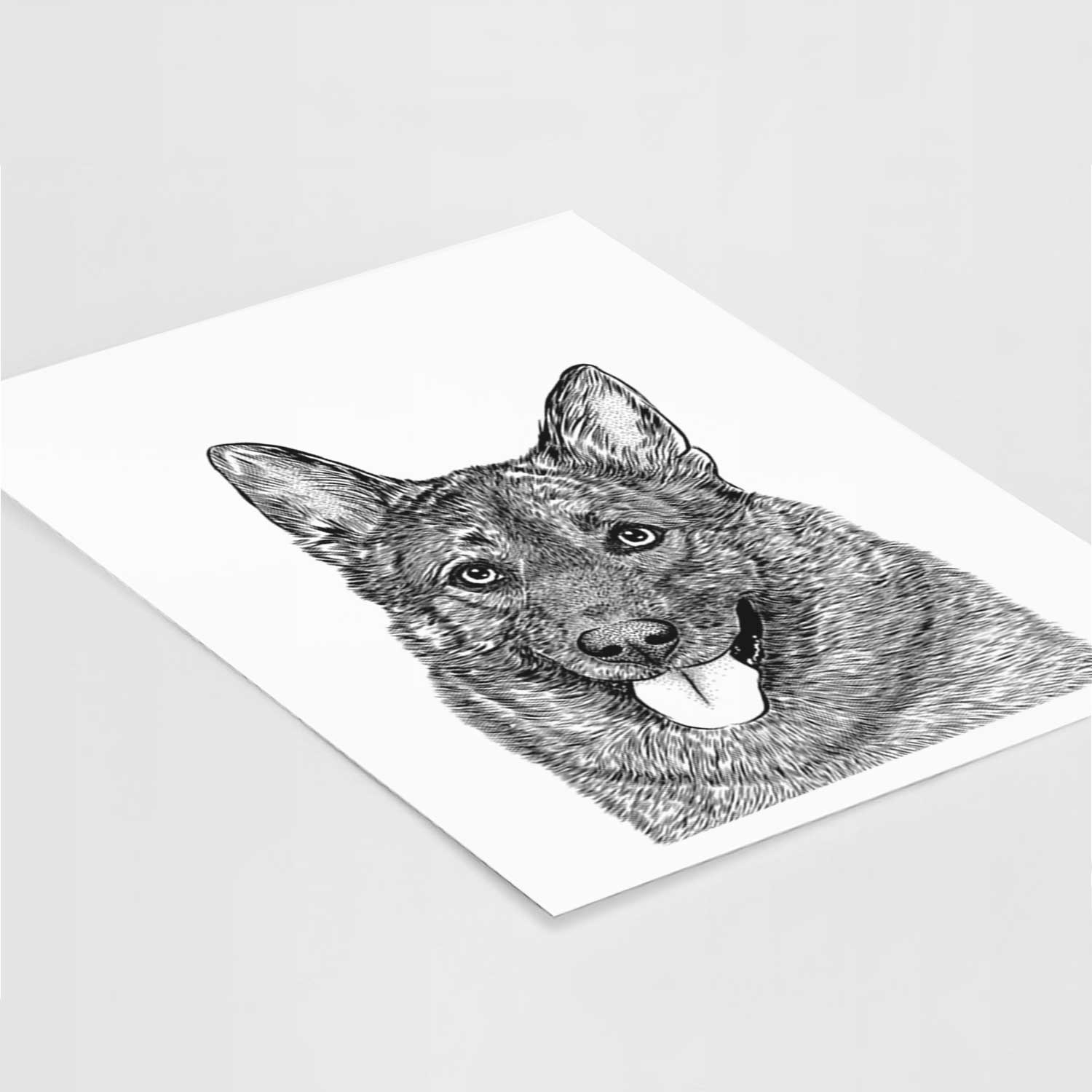 Kasia the Norwegian Elkhound Art Print