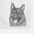 Kasia the Norwegian Elkhound Decorative Hand Towel