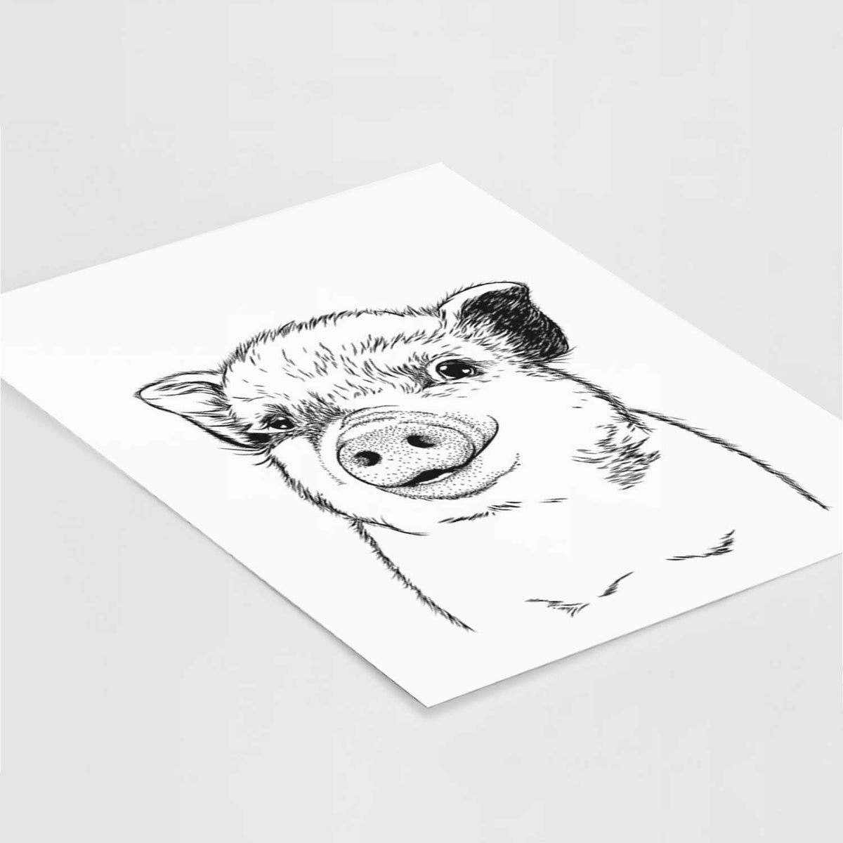 Kevin the Spotted Pig Art Print