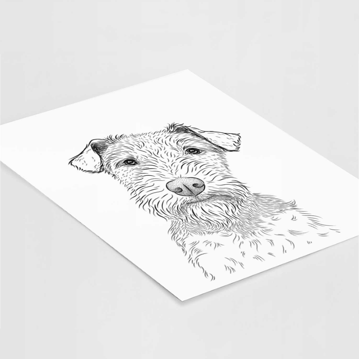 Kiara the Welsh Terrier Art Print