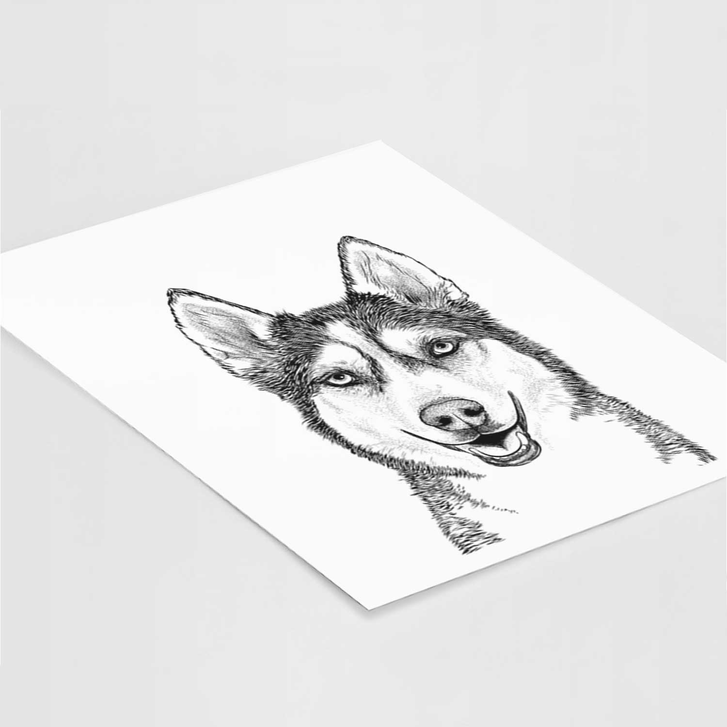 Kira the Siberian Husky Art Print