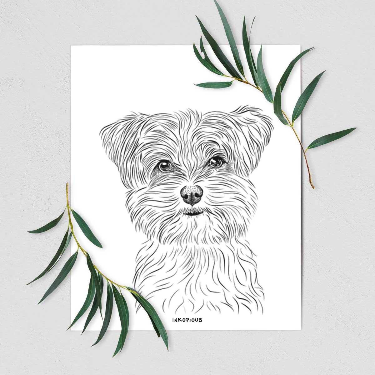 Kiwi the Morkie Art Print
