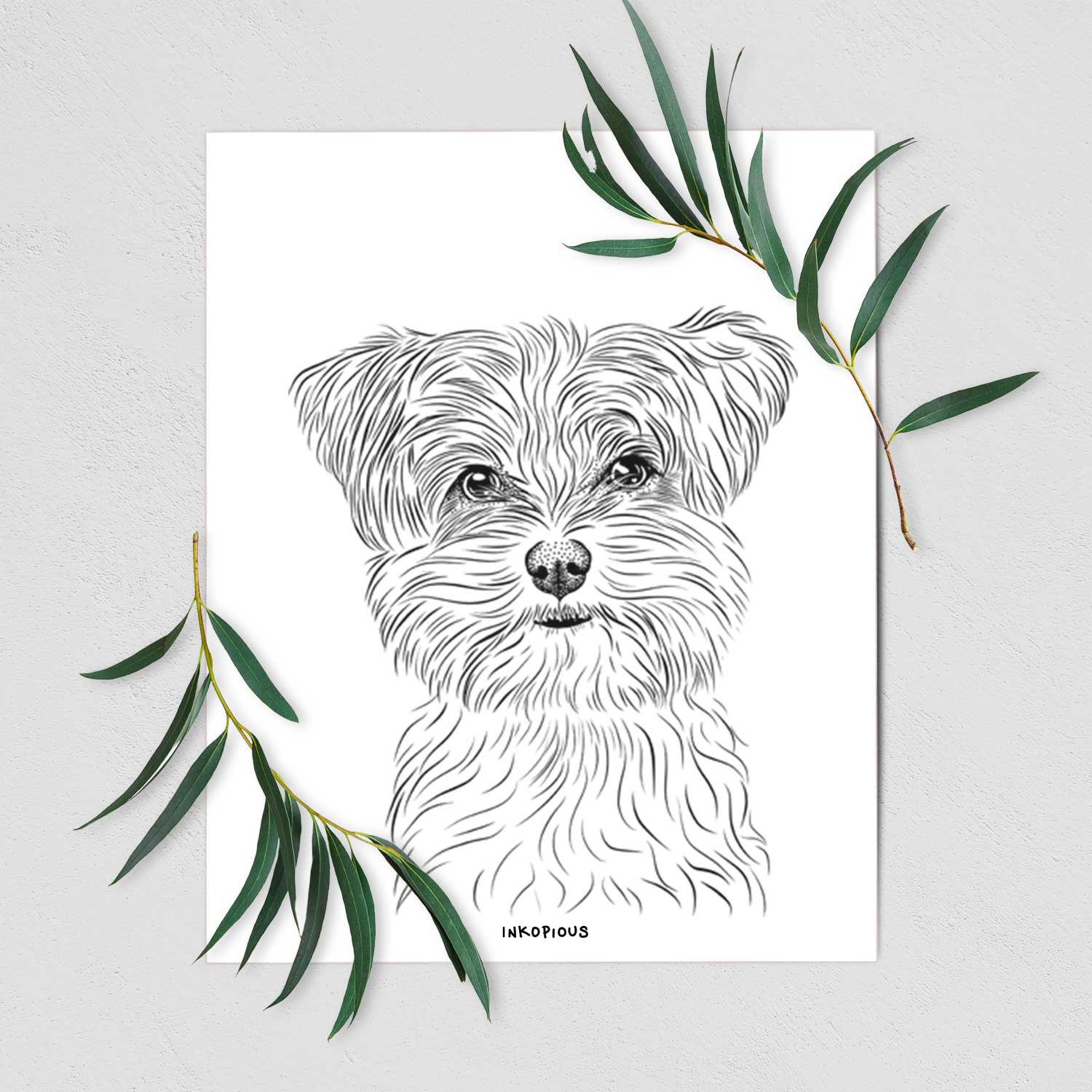 Kiwi the Morkie Art Print