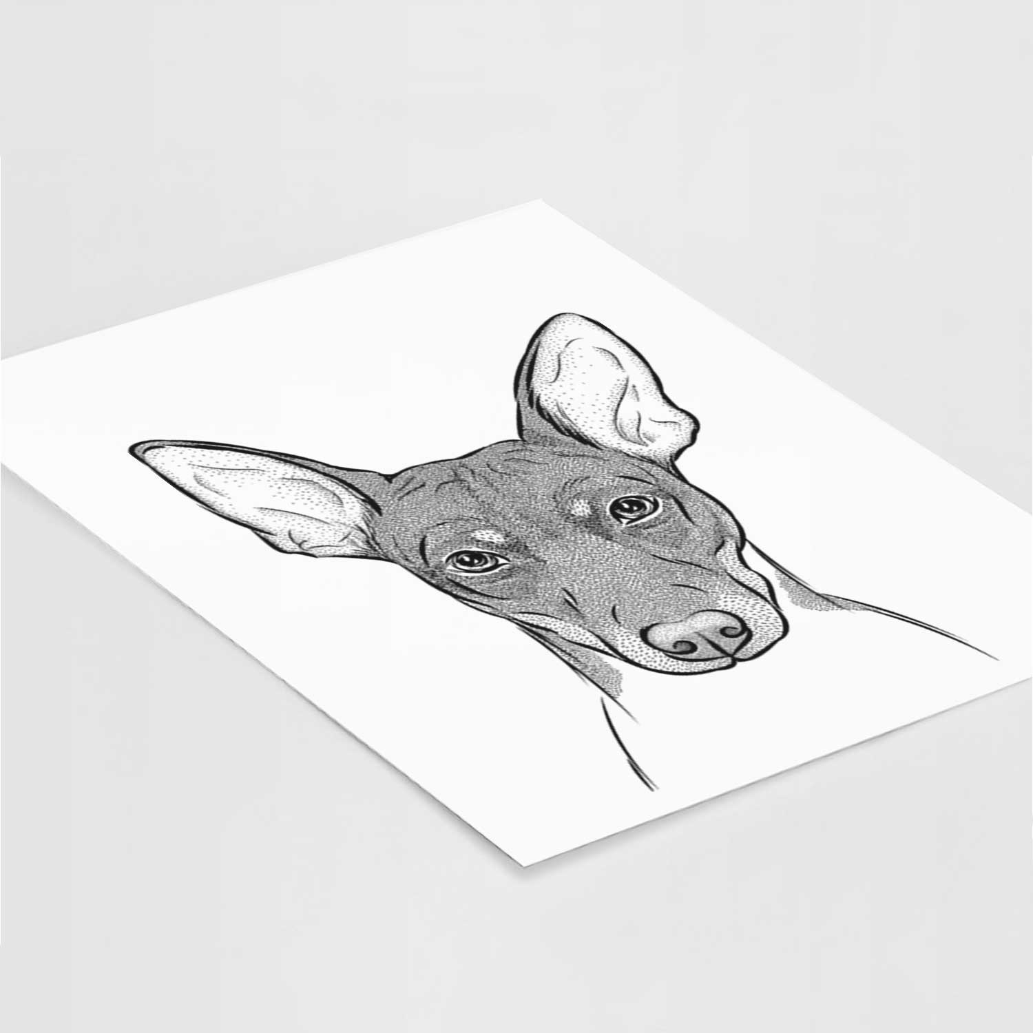 Knox the Rat Terrier Art Print