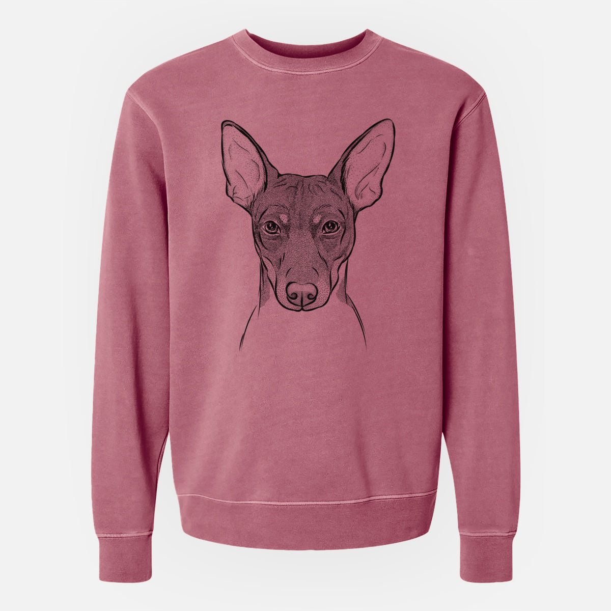 Bare Knox the Rat Terrier - Unisex Pigment Dyed Crew Sweatshirt