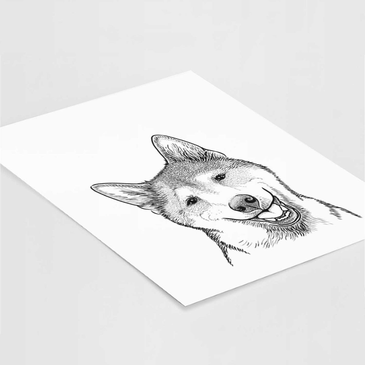 Koby the Shiba Inu Art Print
