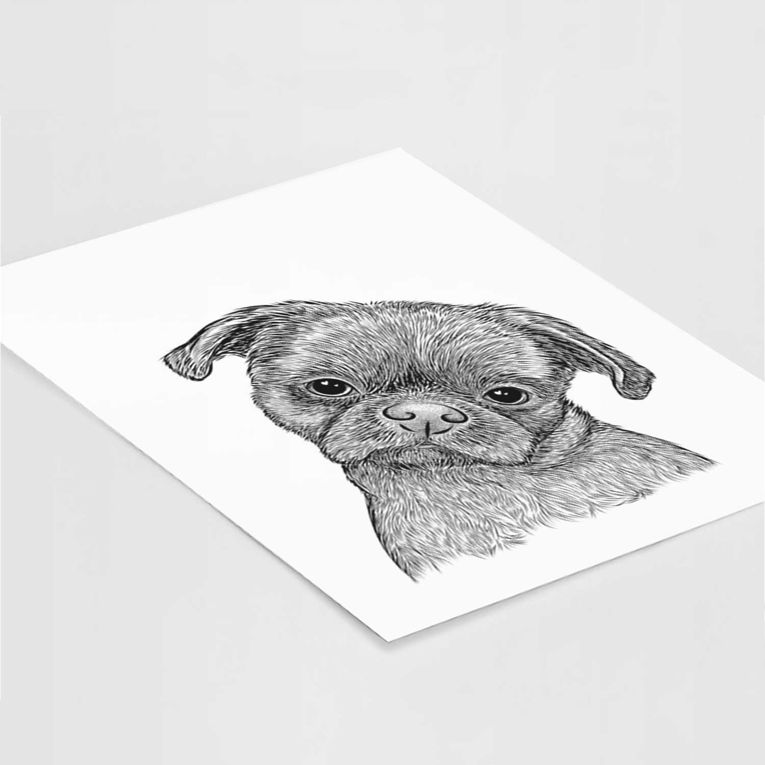 Koko the Shih Tzu Art Print