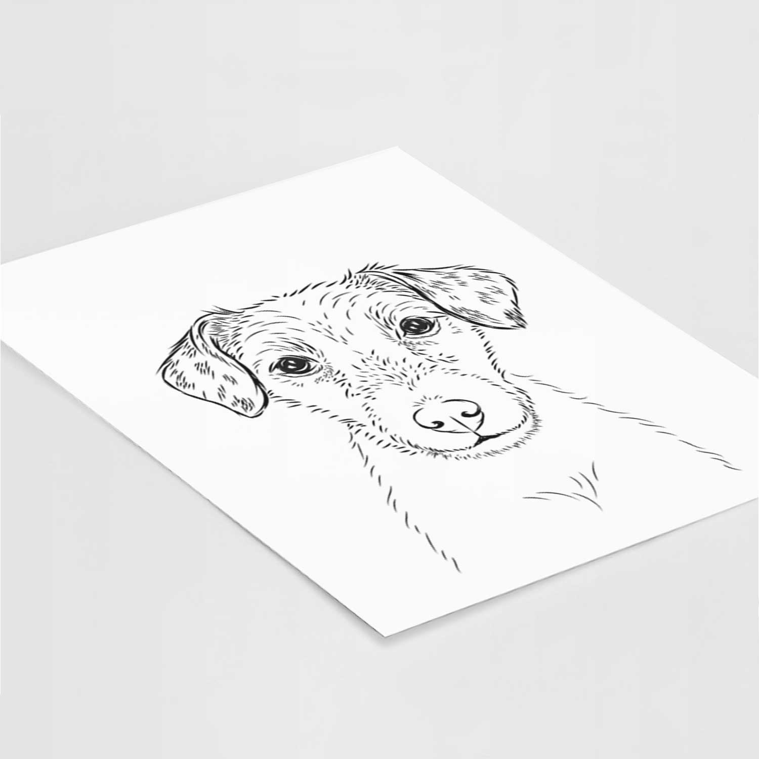 Kozmo the Jack Russell Terrier Art Print