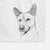 Kulfi the Jindo Shiba Inu Mix Decorative Hand Towel