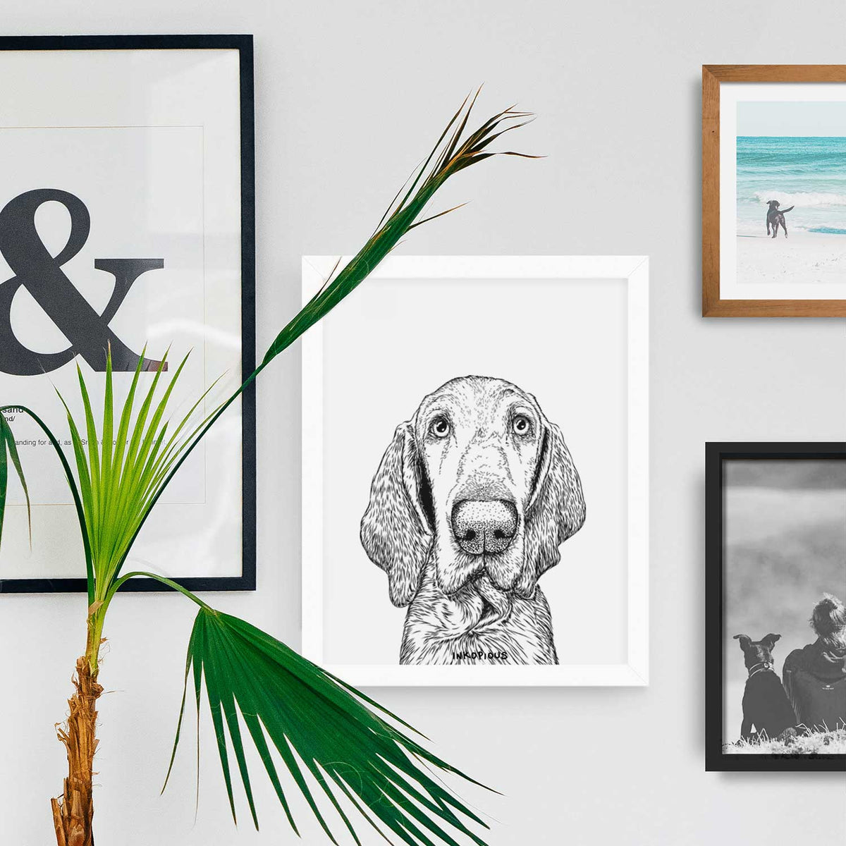 Kylie the Bracco Italiano Art Print