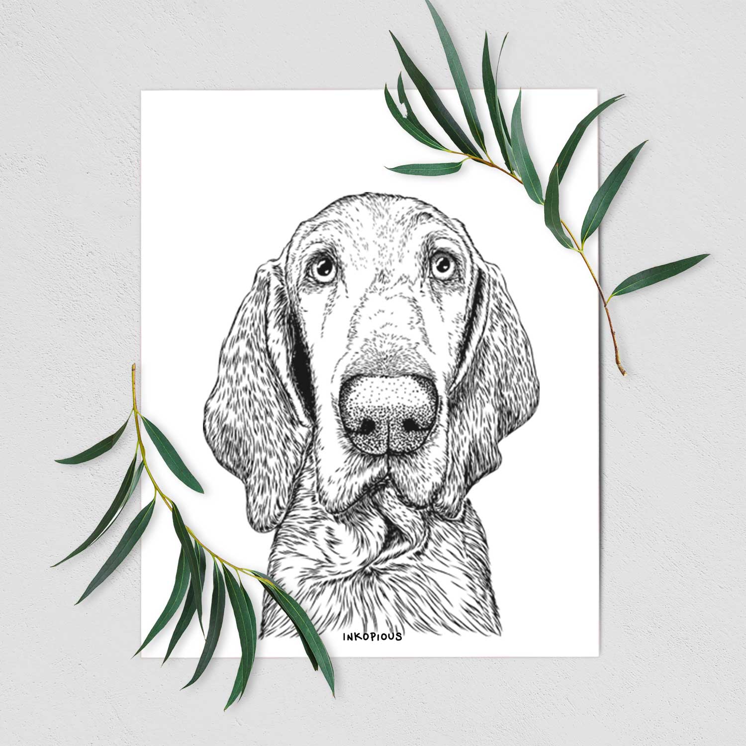 Kylie the Bracco Italiano Art Print