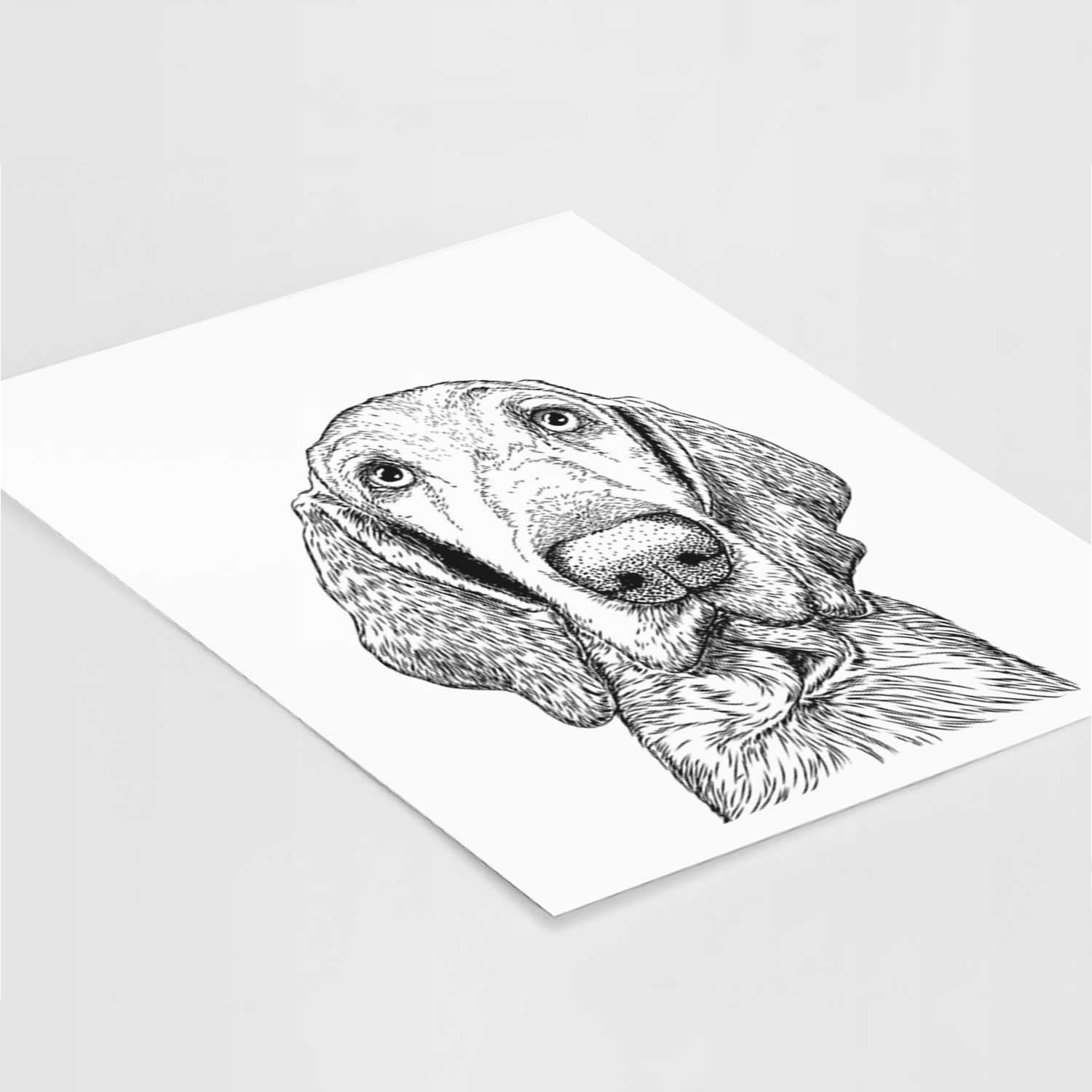 Kylie the Bracco Italiano Art Print