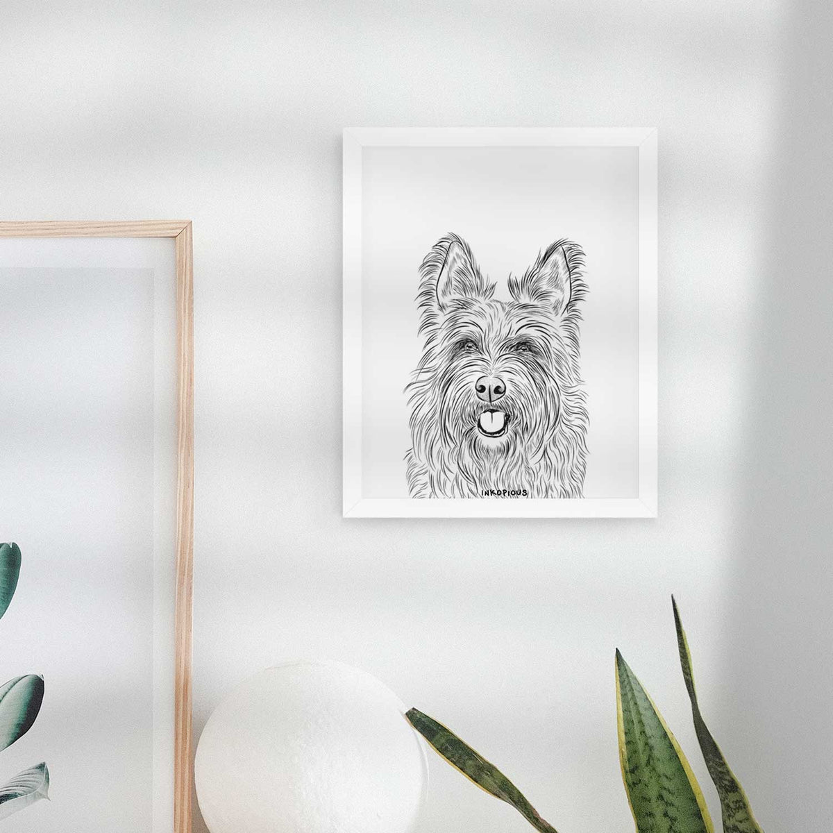 Kyros the Berger Picard Art Print