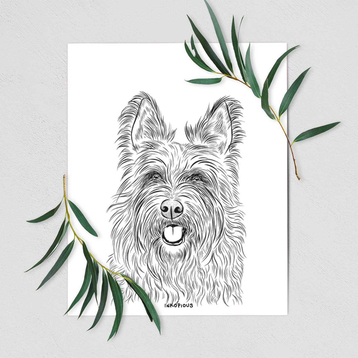 Kyros the Berger Picard Art Print