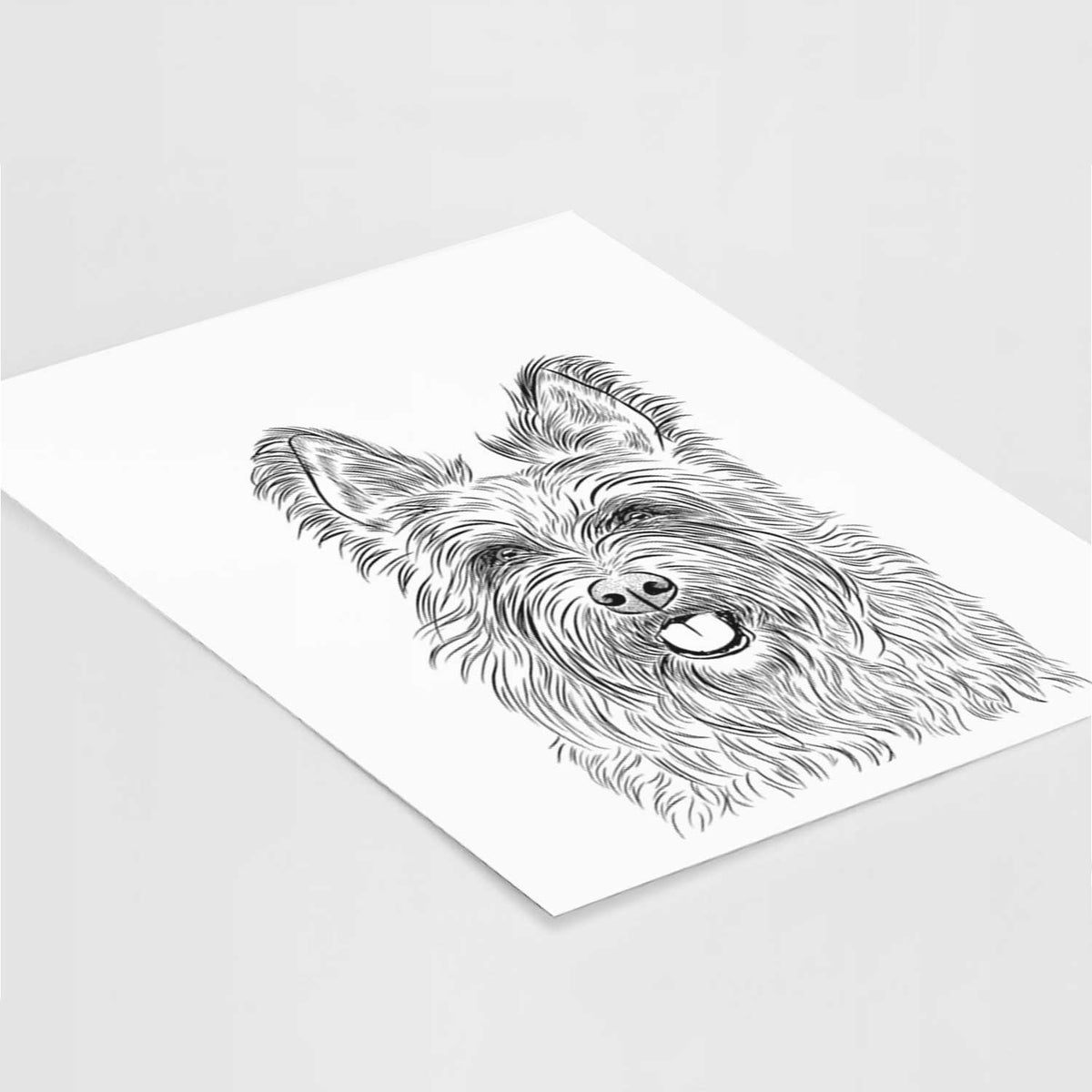 Kyros the Berger Picard Art Print