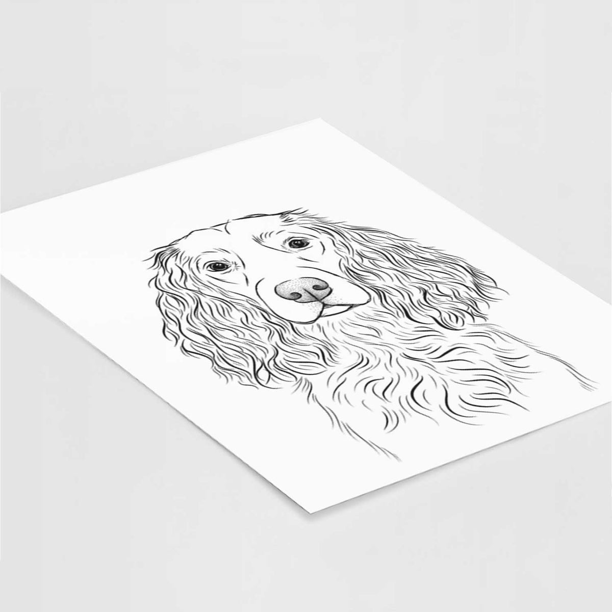 Landry the Boykin Spaniel Art Print