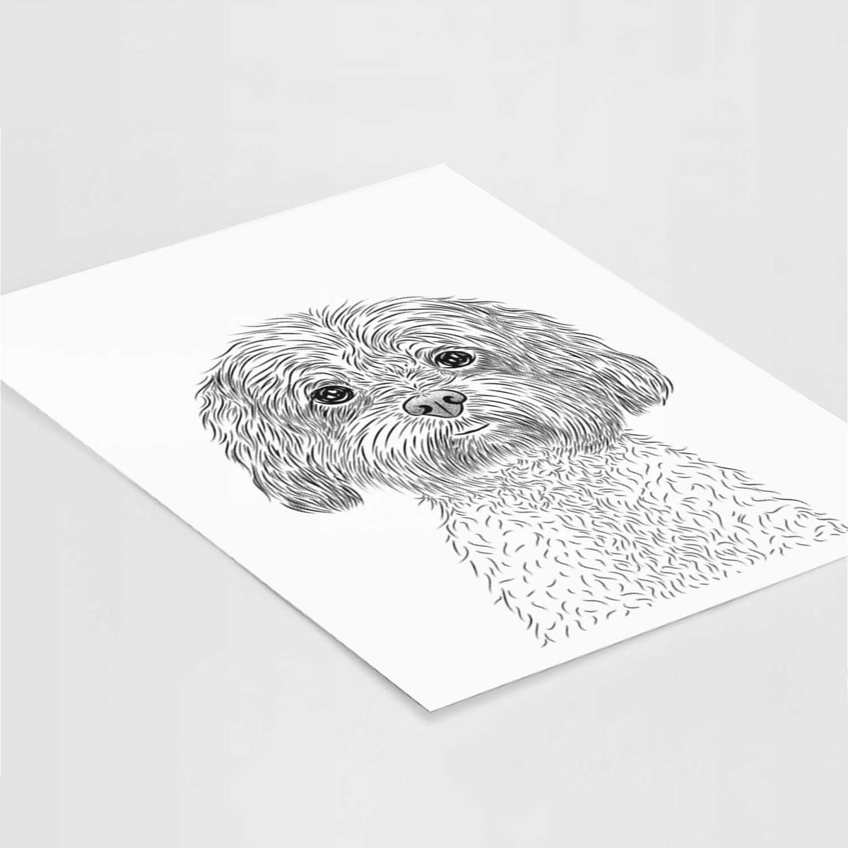 Lane the Lhasa Apso Art Print