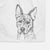 Leo the Ibizan Hound Bull Mastiff Mix Decorative Hand Towel