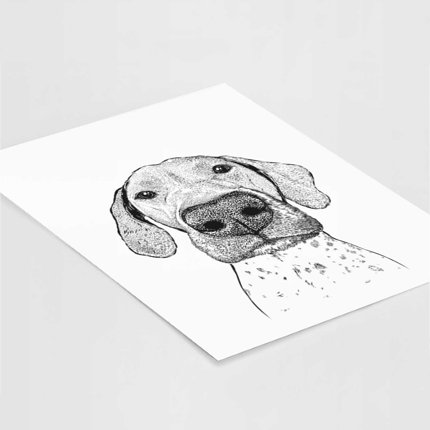 Leroy the German Shorthaired Pointer Art Print