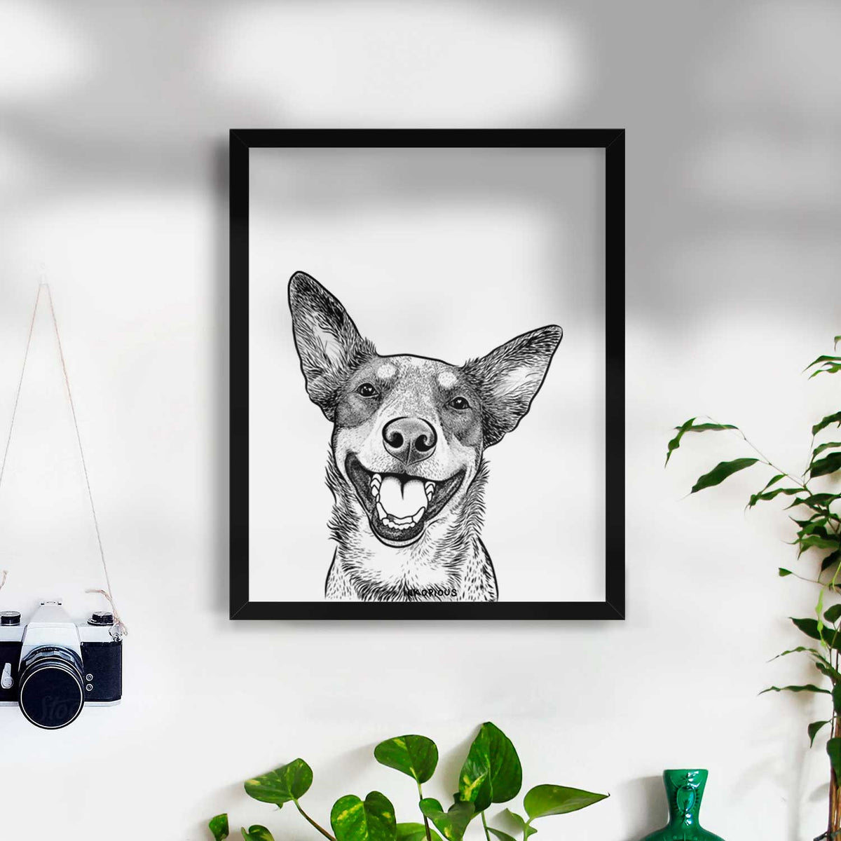 Lily the Australian Cattle Dog Art Print
