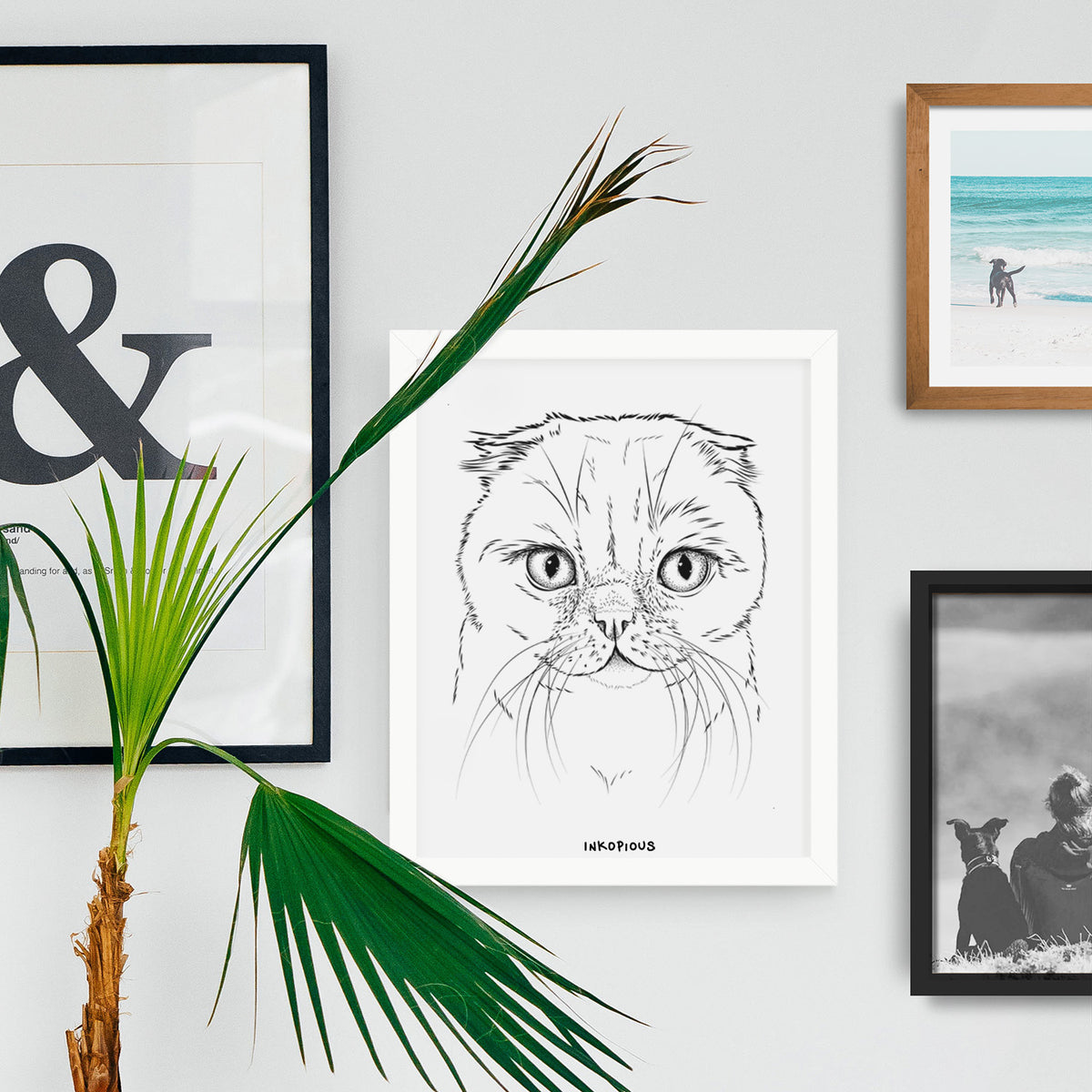 Lina the Exotic Fold Cat Art Print