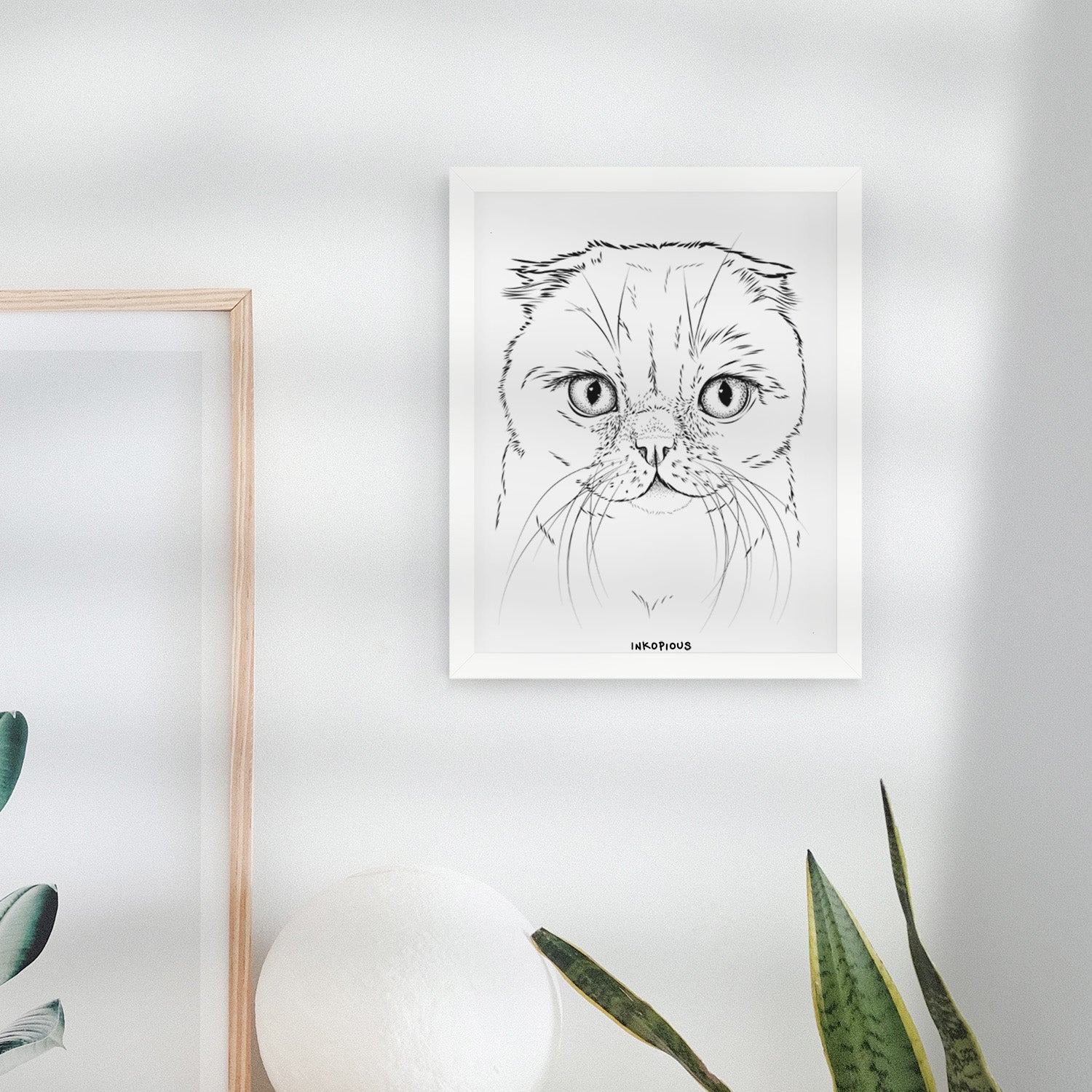 Lina the Exotic Fold Cat Art Print