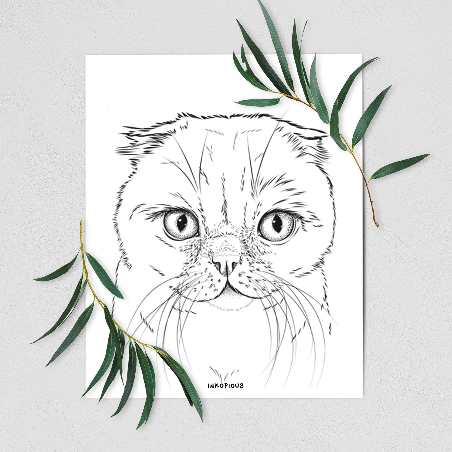 Lina the Exotic Fold Cat Art Print