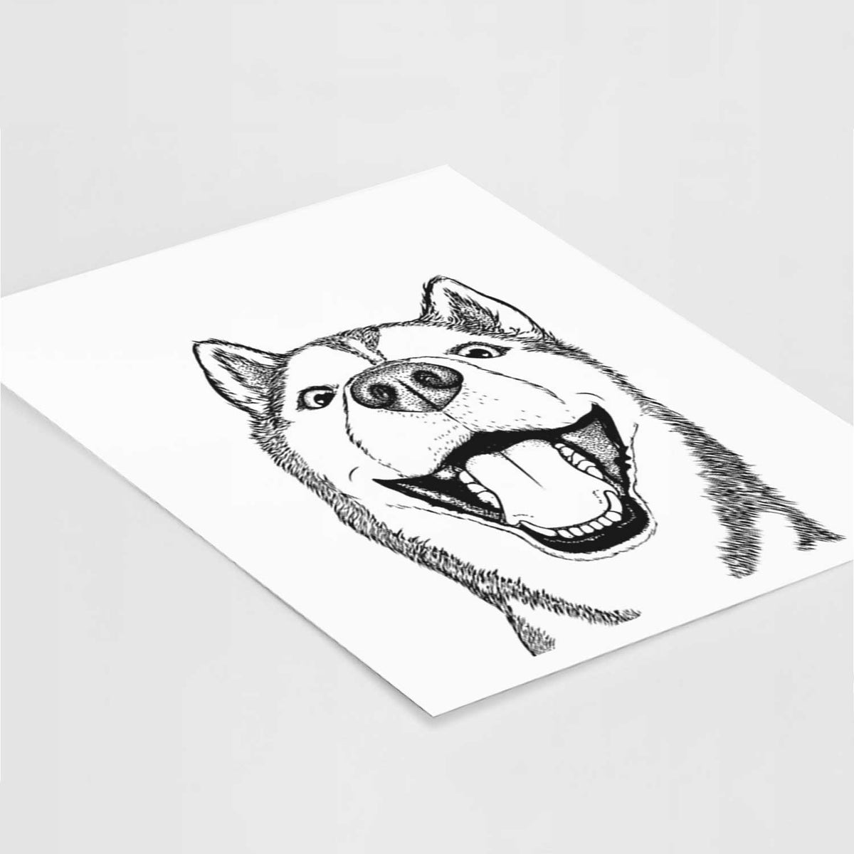 Little Country the Siberian Husky Art Print