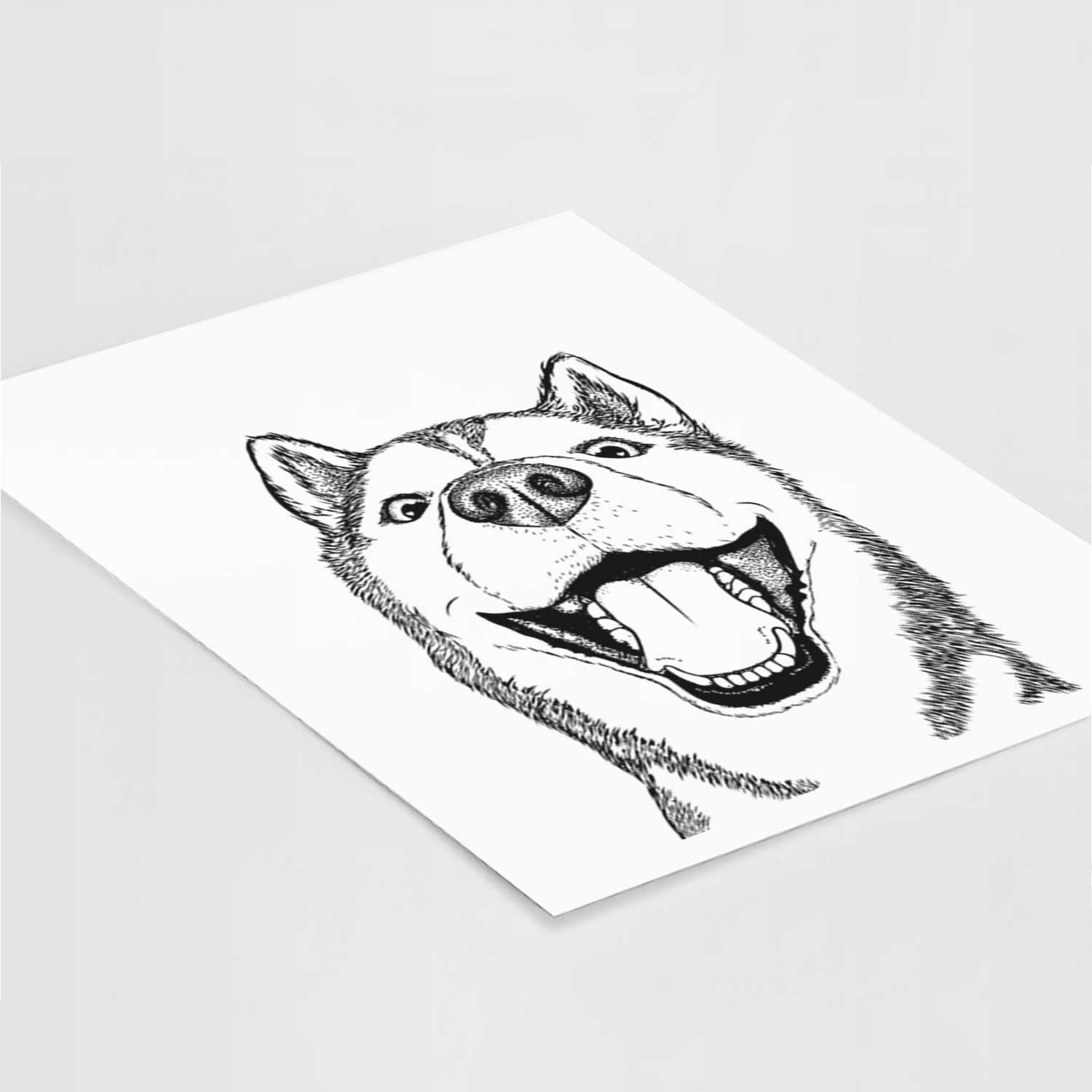 Little Country the Siberian Husky Art Print