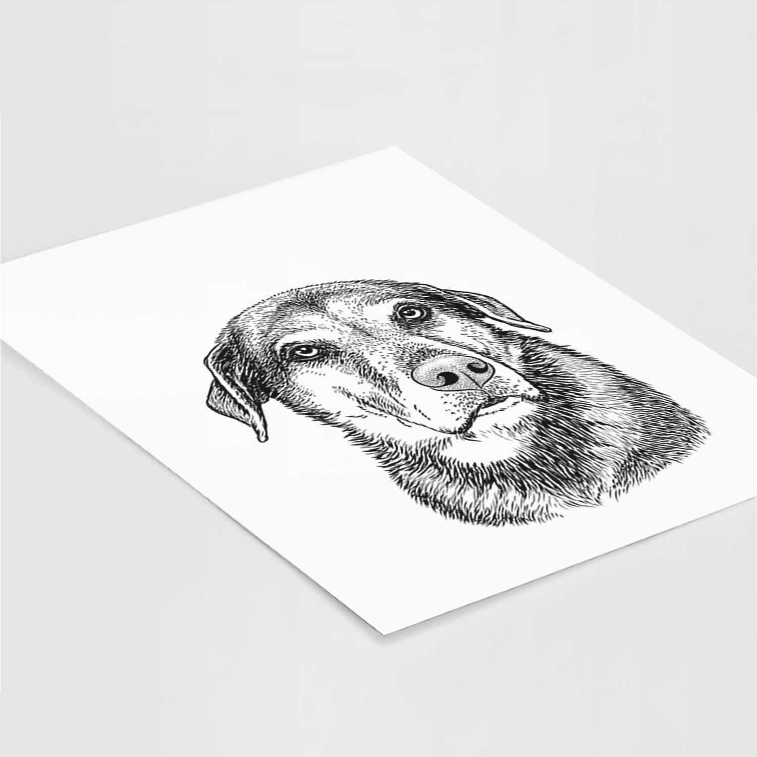 Lobo the Shepherd Mix Art Print