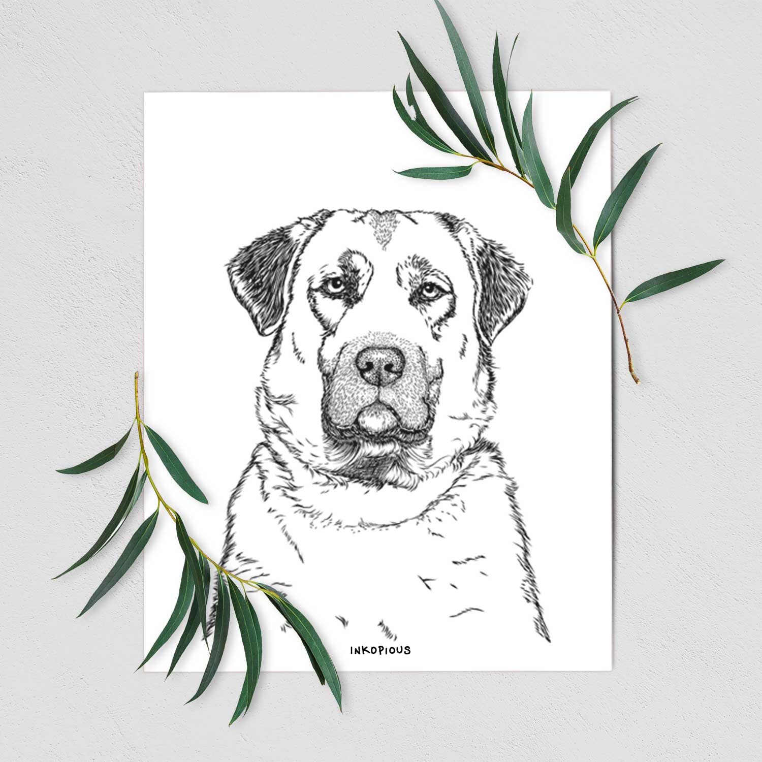 Loca the Anatolian Shepherd Art Print