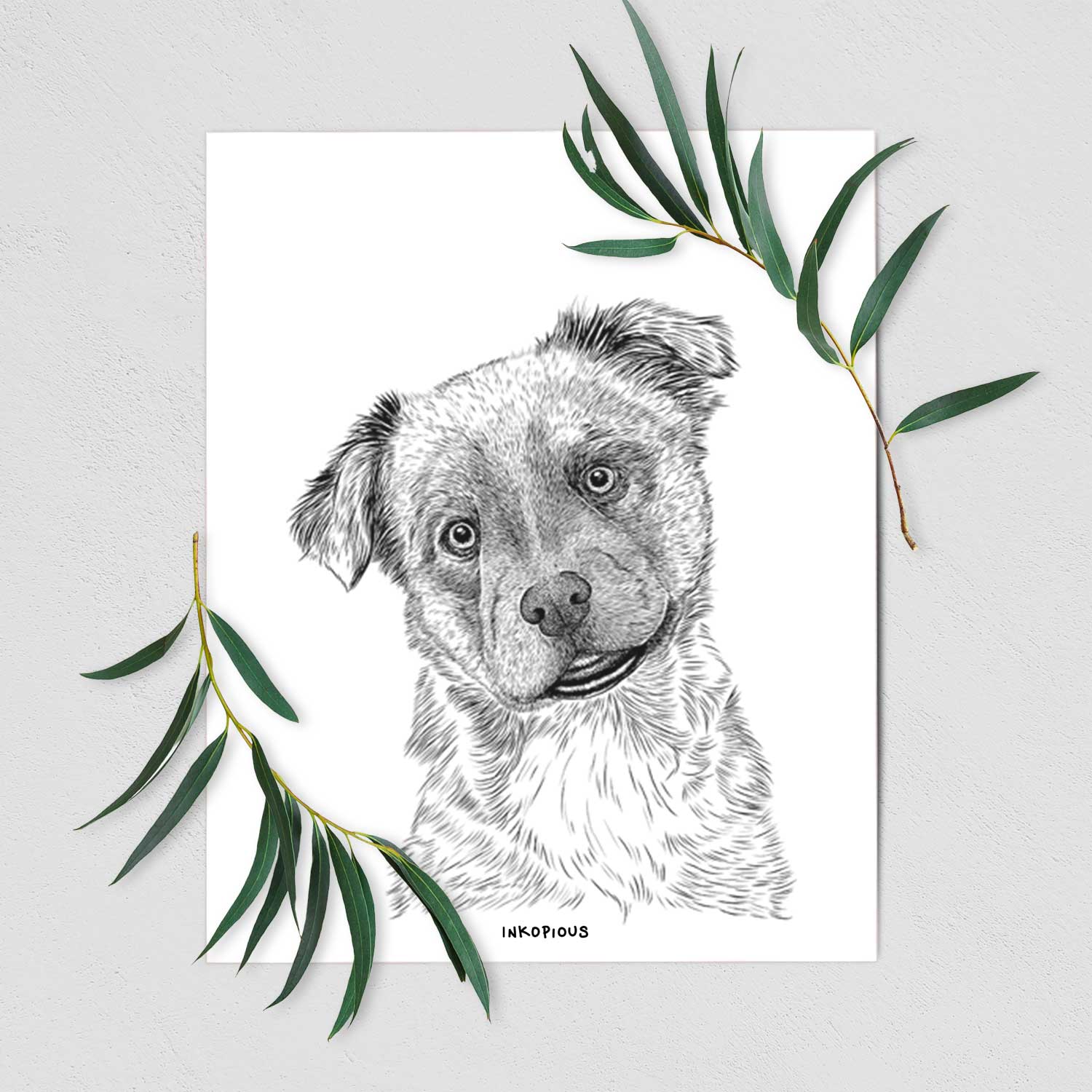 Loki Bear the Australian Cattle Dog Mix Art Print
