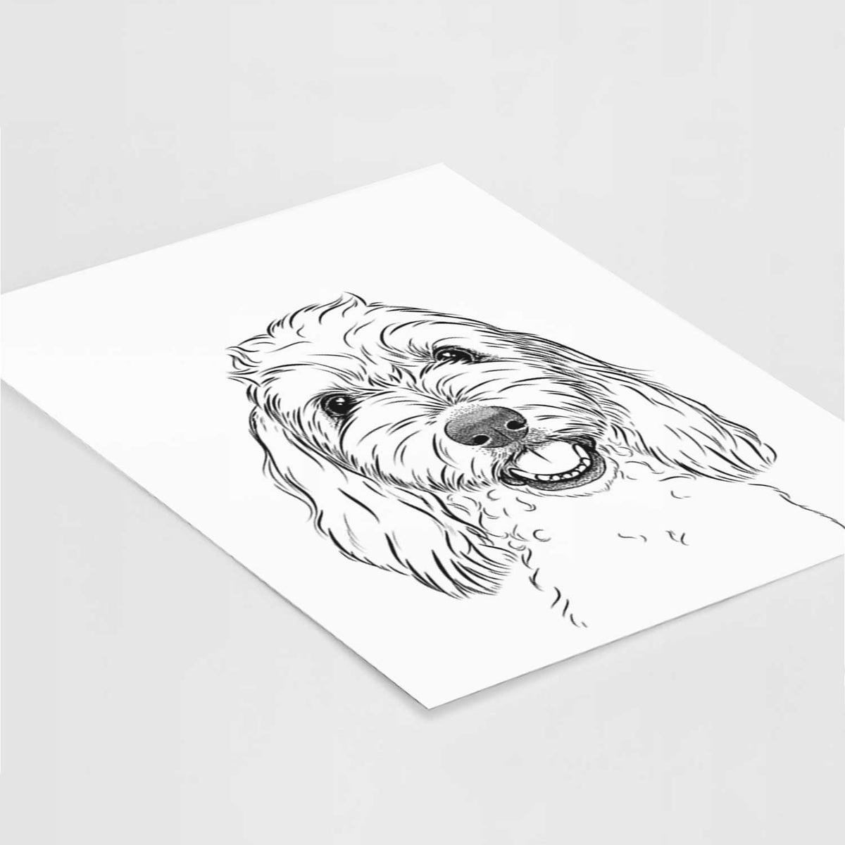 Louie the Coton de Tulear Art Print