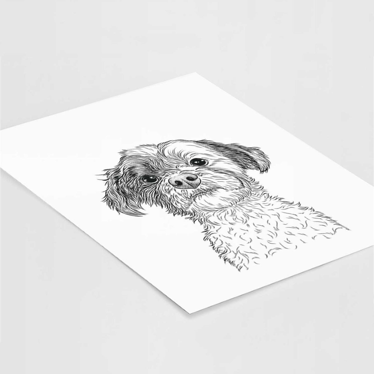Louise the Havanese Art Print
