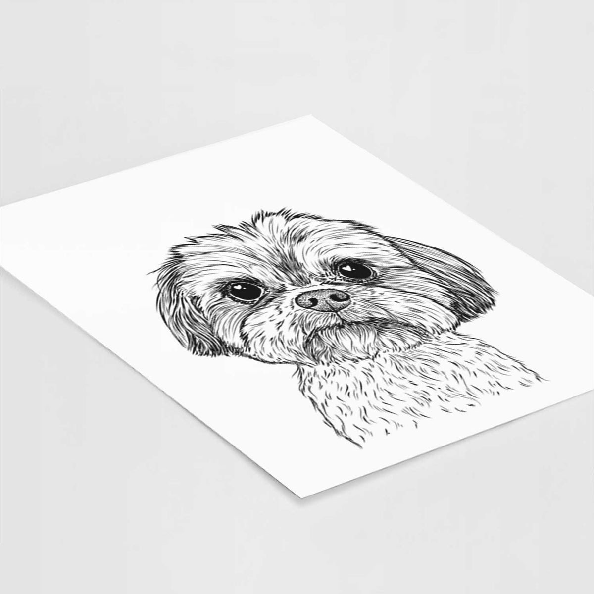 Lucy the Shorkie Art Print