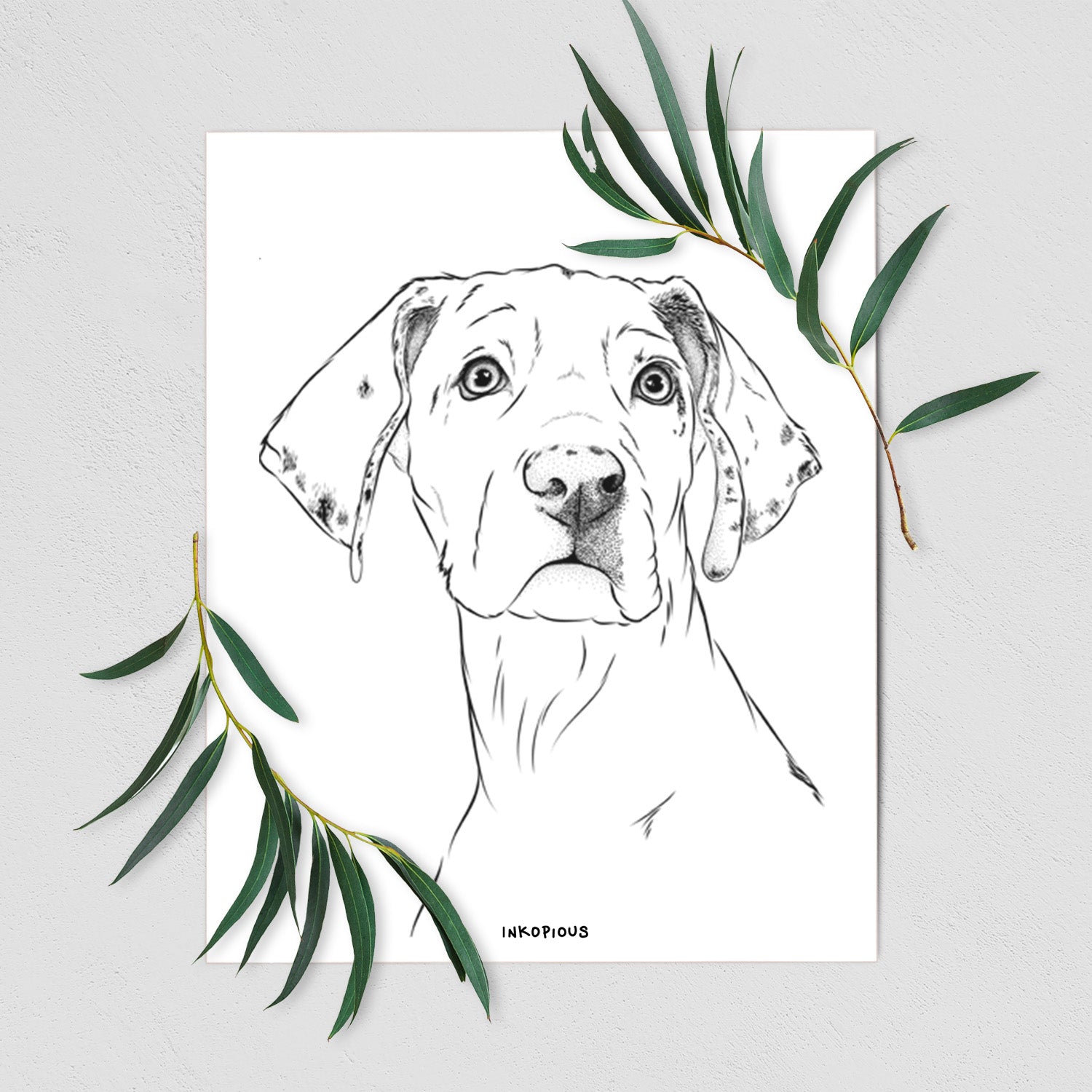 Lumen the Special Needs Great Dane Art Print