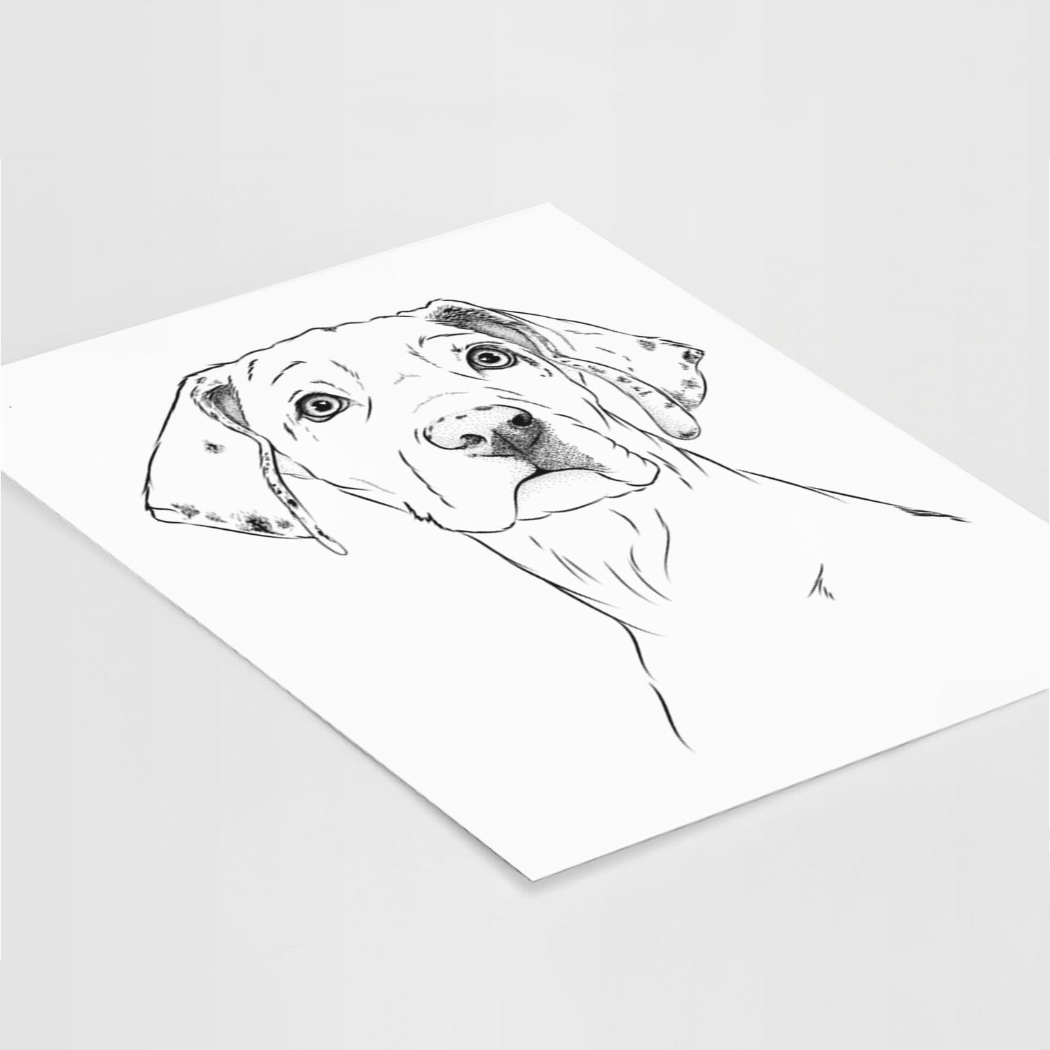 Lumen the Special Needs Great Dane Art Print