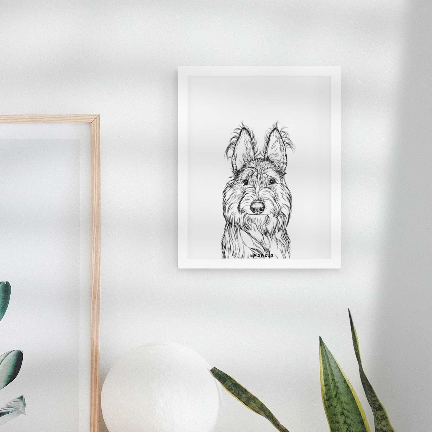 Luna the Berger Picard Art Print