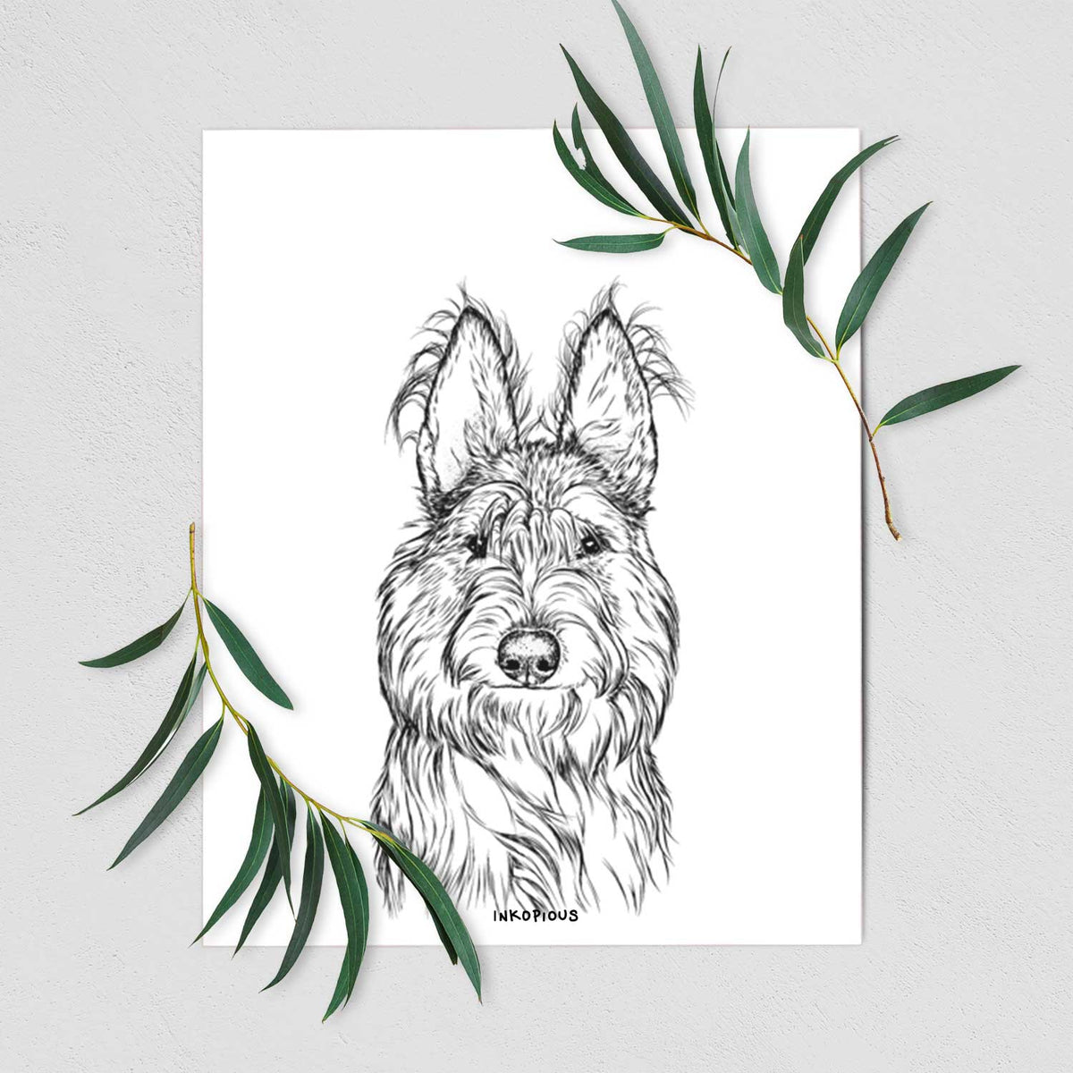 Luna the Berger Picard Art Print