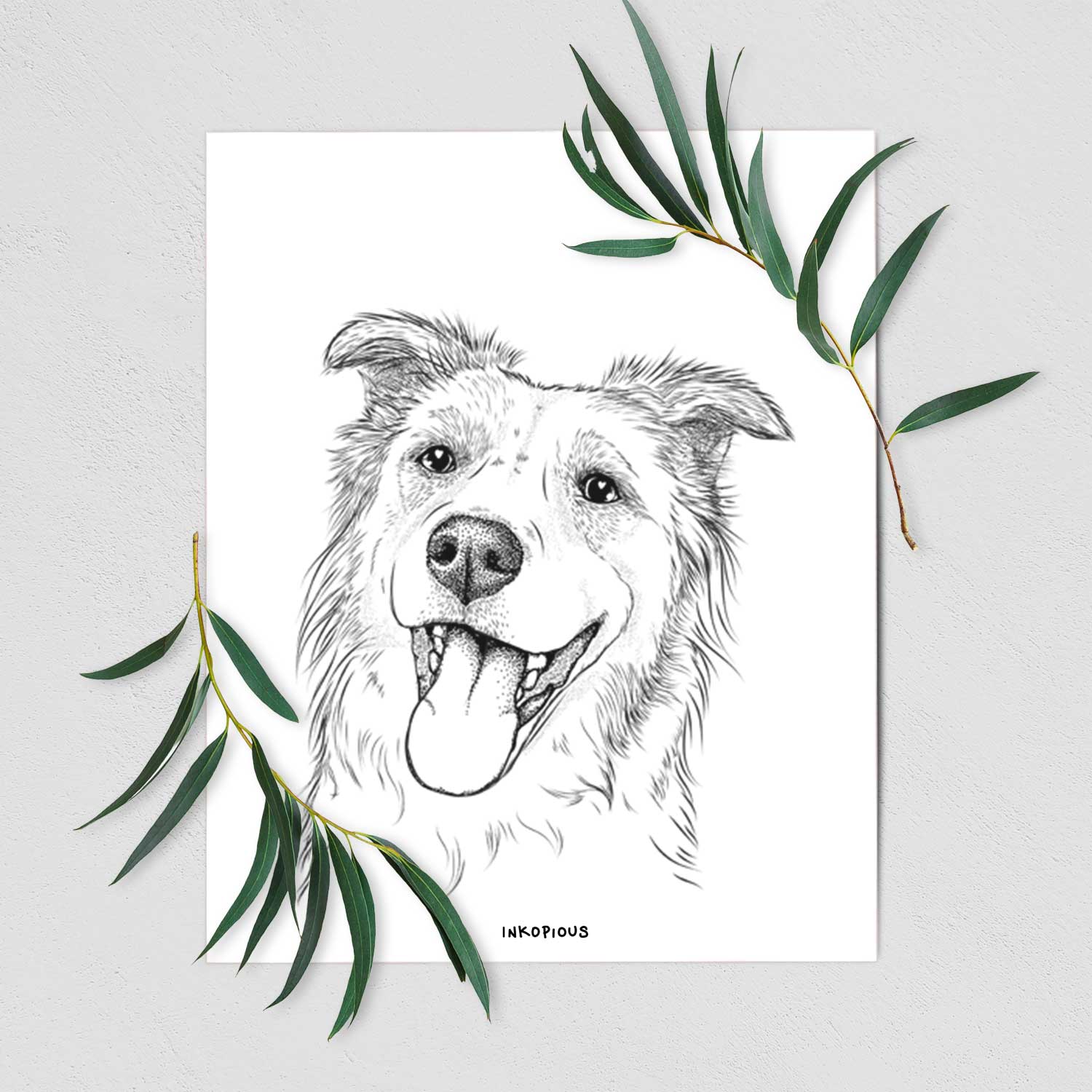 Macaroni the Border Collie Art Print