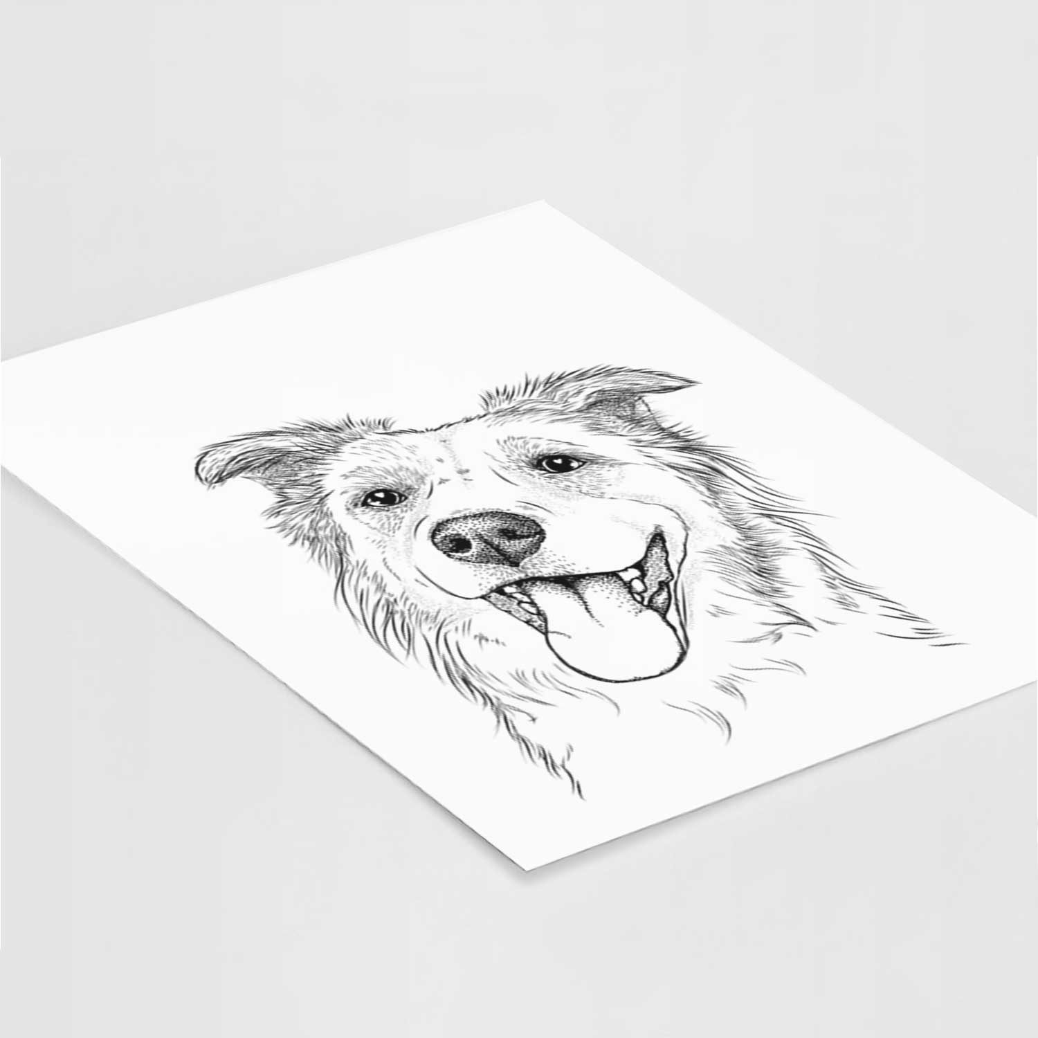 Macaroni the Border Collie Art Print