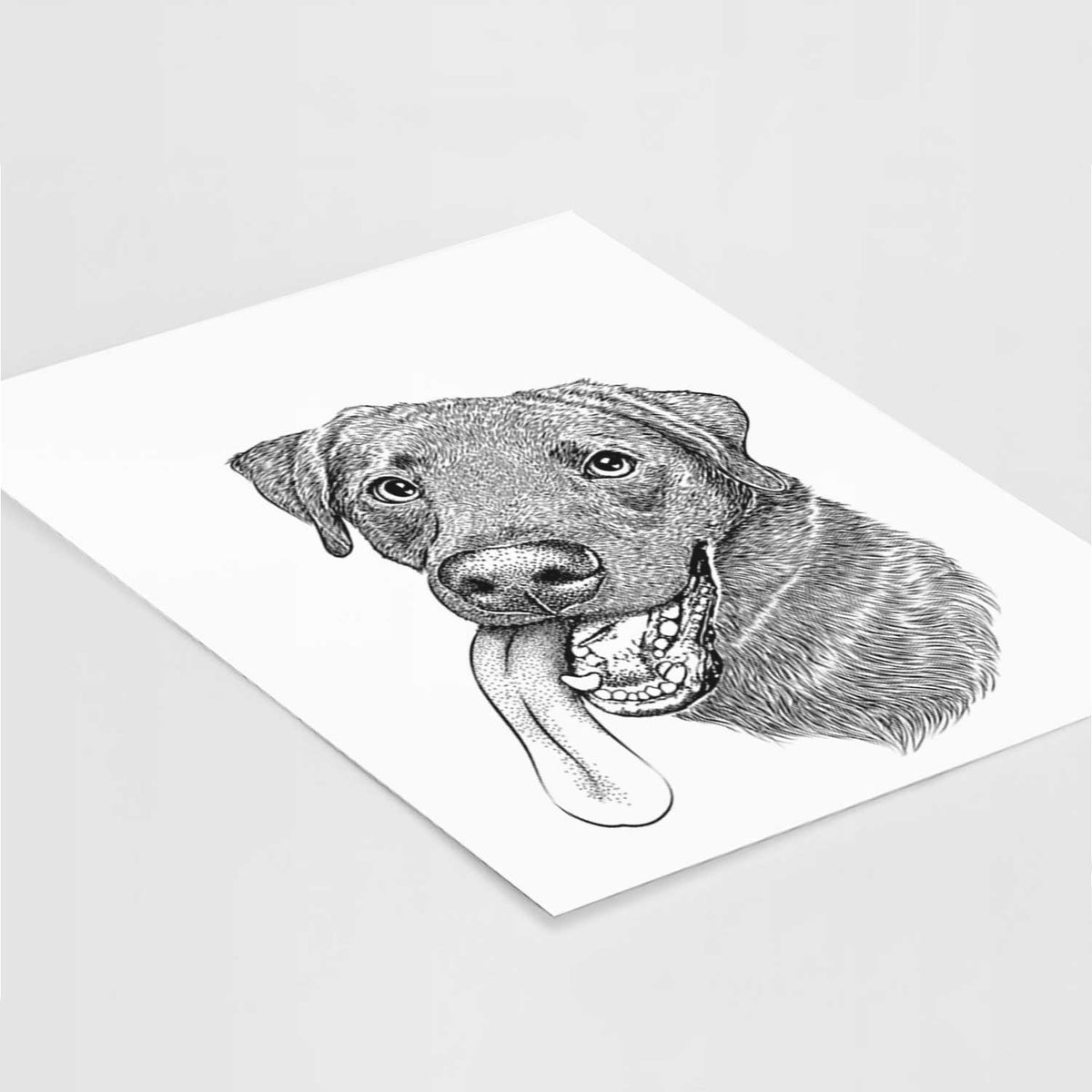Macaroni the Lab Mix Art Print