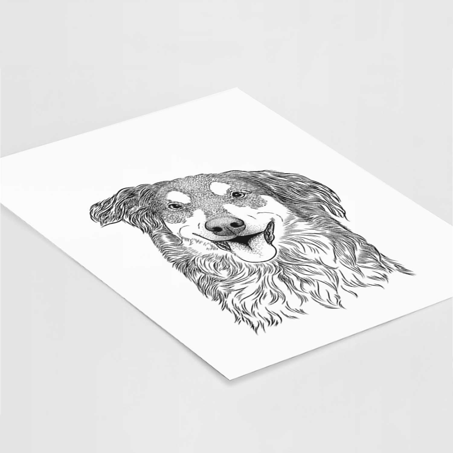 Maddie the English Shepherd Art Print